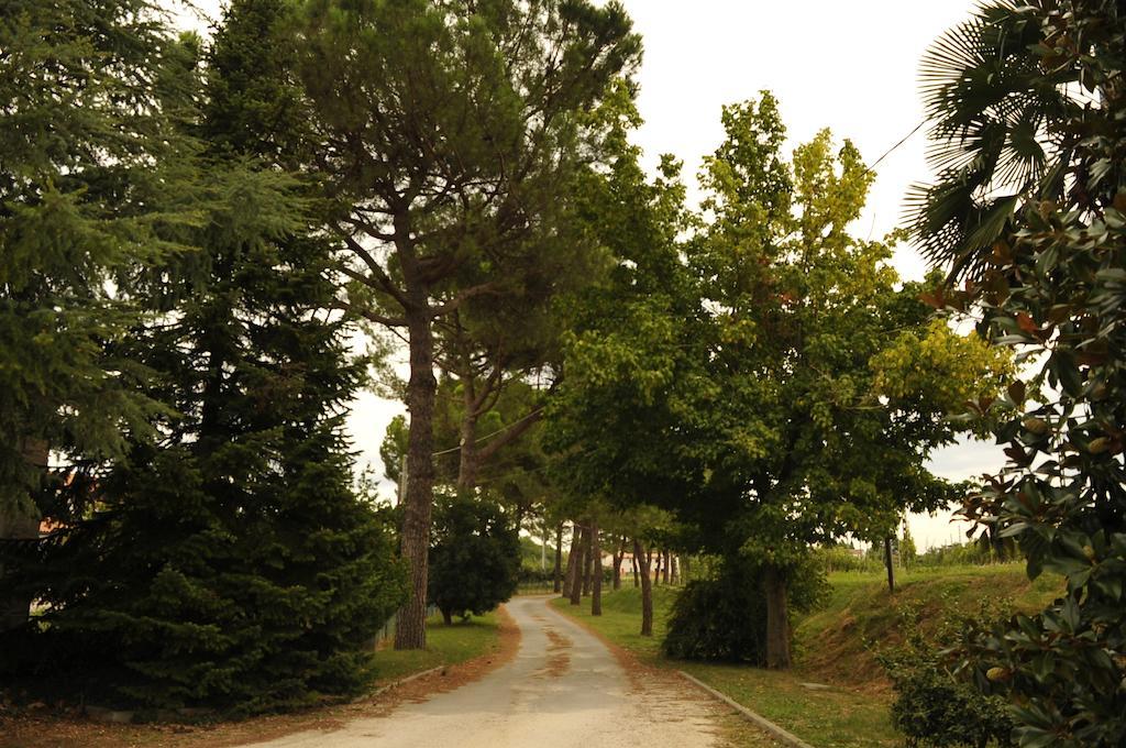 Caterina Residence Faenza Kültér fotó