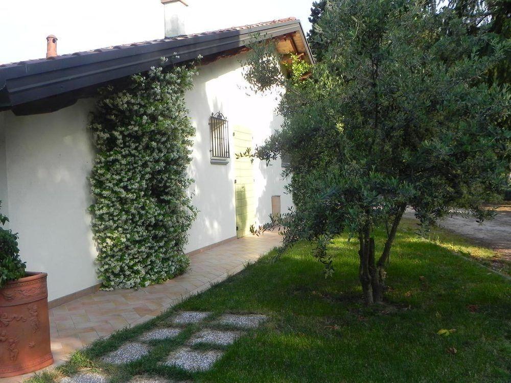 Caterina Residence Faenza Kültér fotó