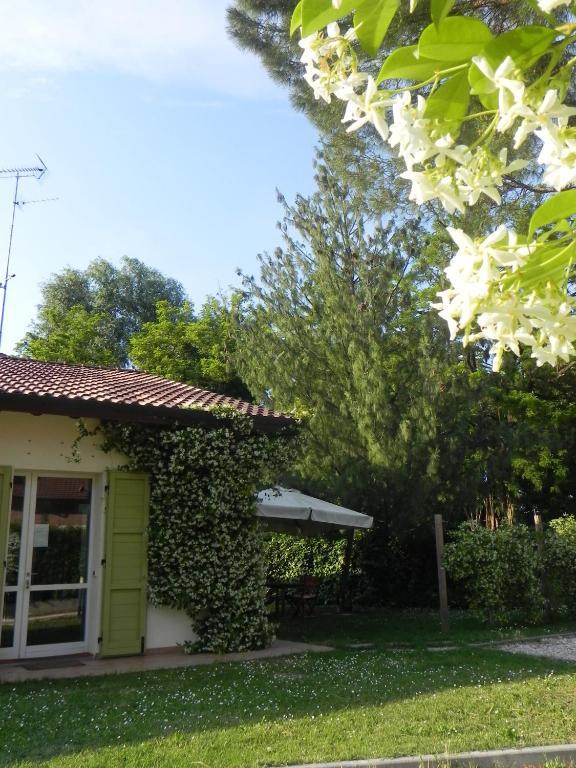 Caterina Residence Faenza Kültér fotó