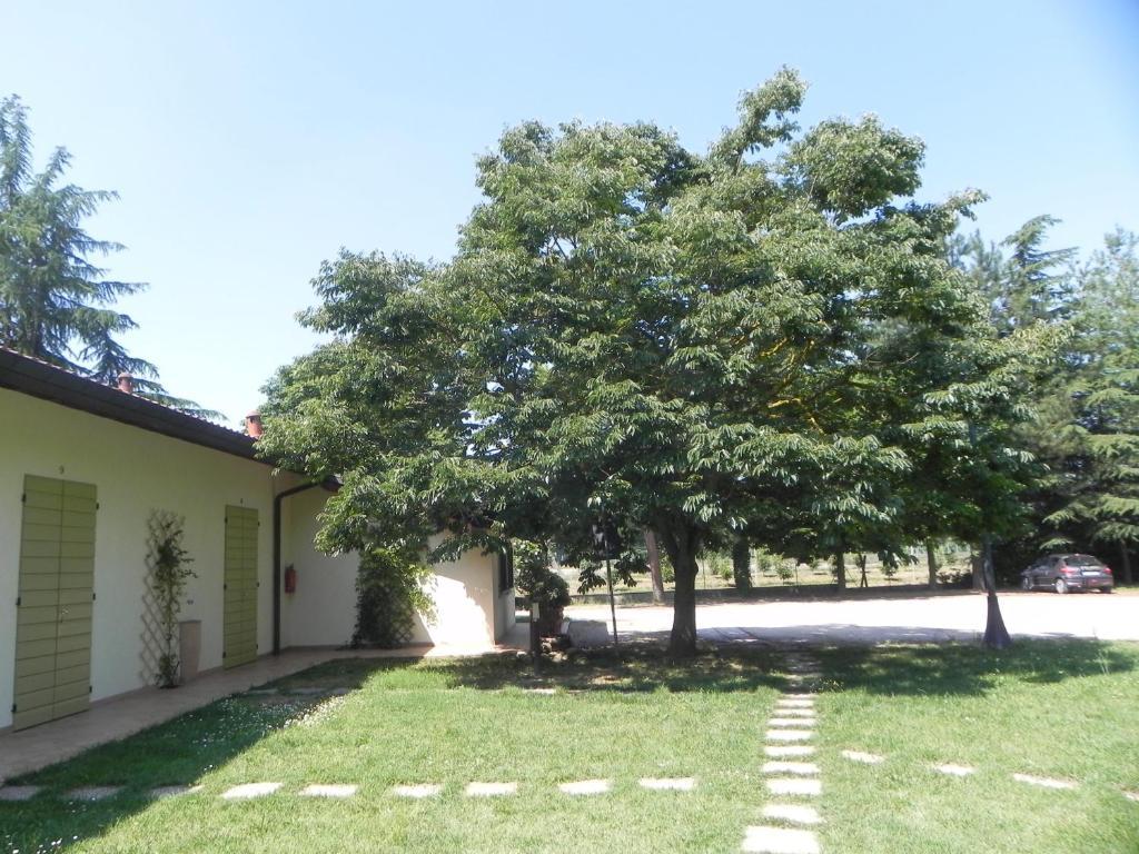 Caterina Residence Faenza Kültér fotó