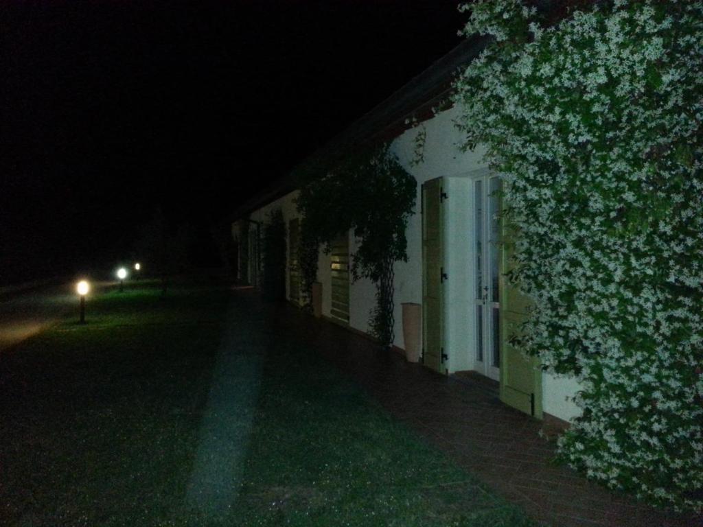 Caterina Residence Faenza Kültér fotó