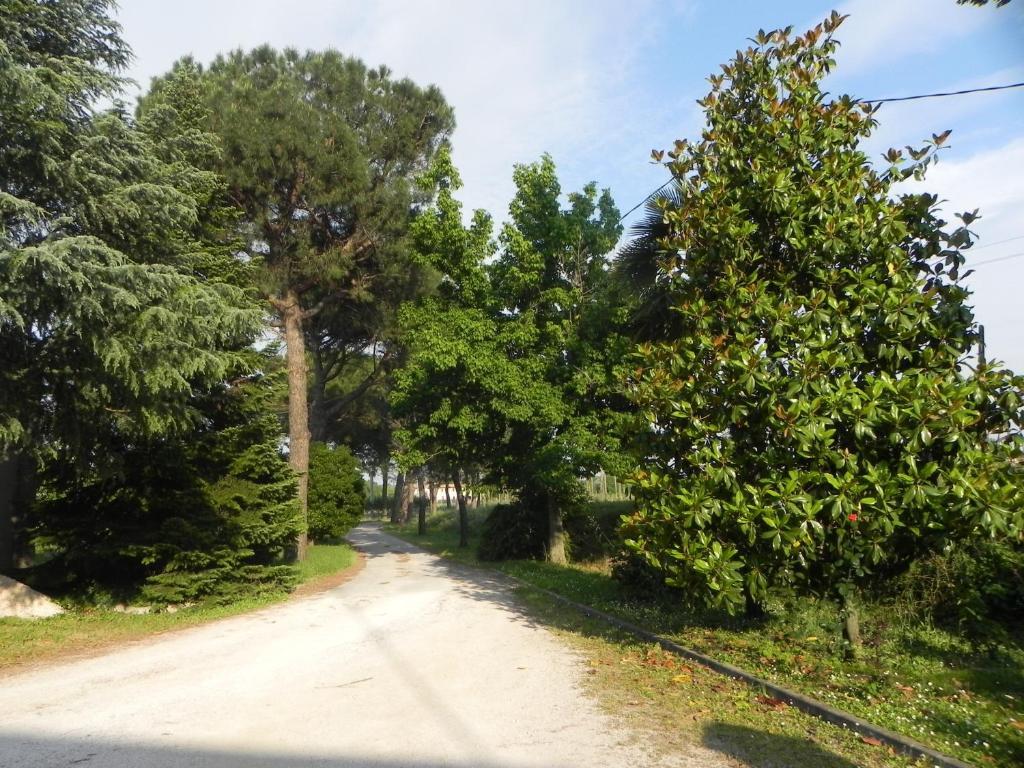 Caterina Residence Faenza Kültér fotó