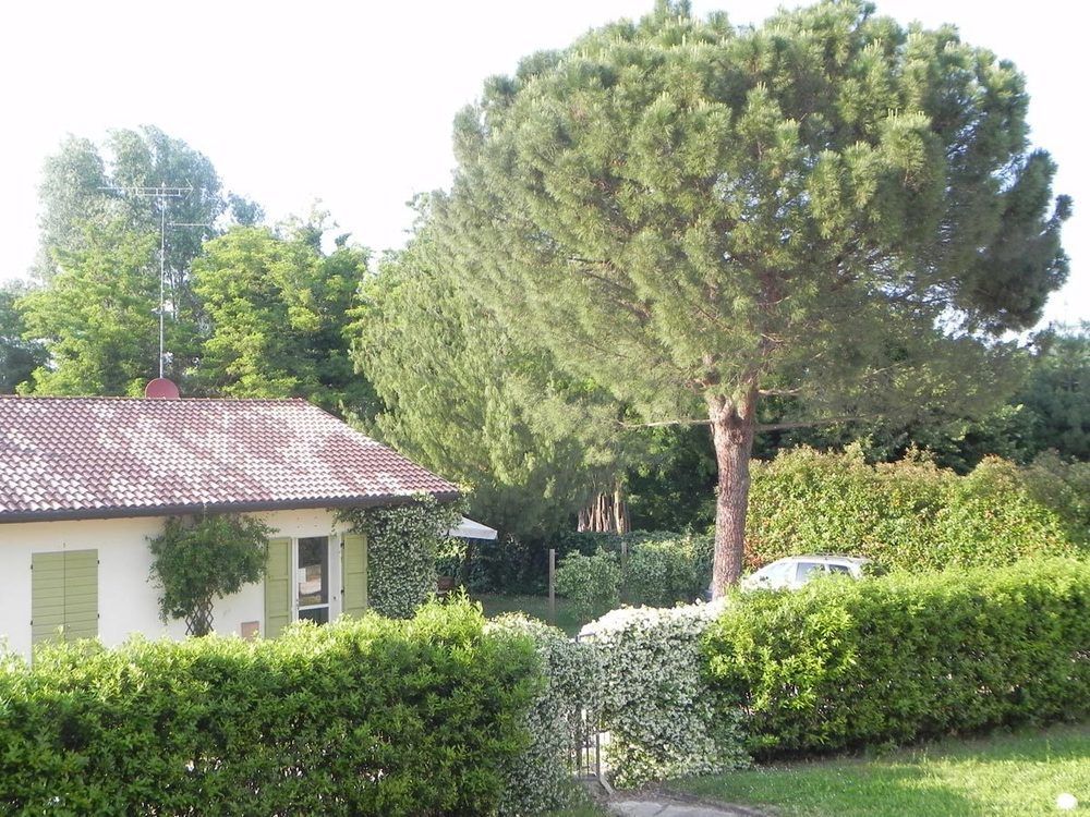 Caterina Residence Faenza Kültér fotó