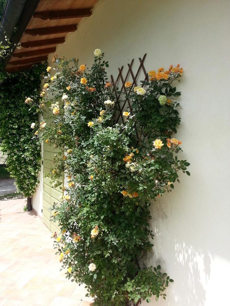 Caterina Residence Faenza Kültér fotó